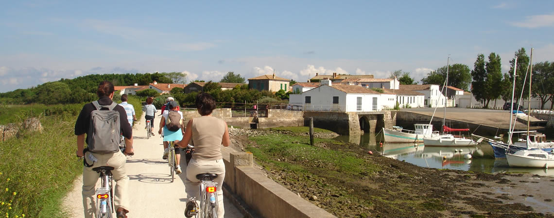 Découverte de l’île de Ré à vélo